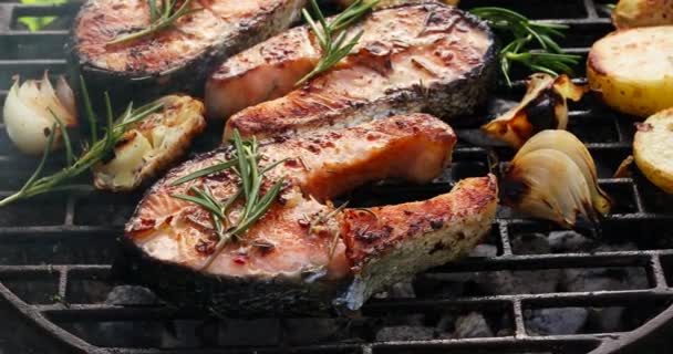 Grilované ryby, grilované lososové steaky s přídavkem rozmaru, aromatického koření a zeleniny na grilovacím plechu venku, zblízka. Grilované plody moře - Záběry, video