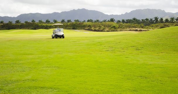 golf arabası - Fotoğraf, Görsel