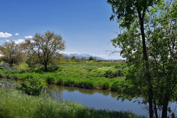Jordan River Parkway Trail, Redwood Trailhead grenzend aan de legacy Parkway Trail, panoramisch uitzicht met omringende bomen en slib gevuld modderig water langs de Rocky Mountains, Salt Lake City, Utah. - Foto, afbeelding