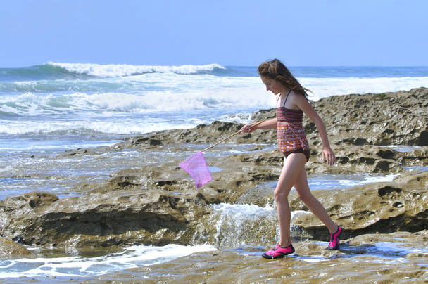 Playing in tidepools - Photo, Image