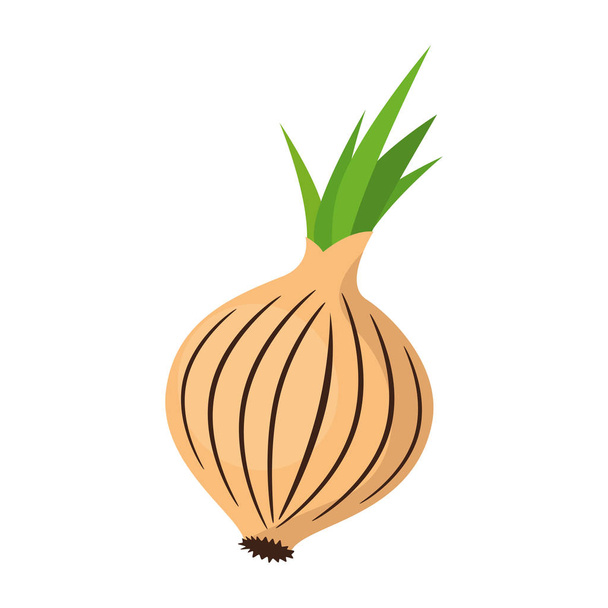 fresh onion vegetarian food - Vector, Image
