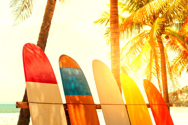Muitas pranchas de surf ao lado de coqueiros na praia de verão com luz solar e fundo azul do céu. - Foto, Imagem