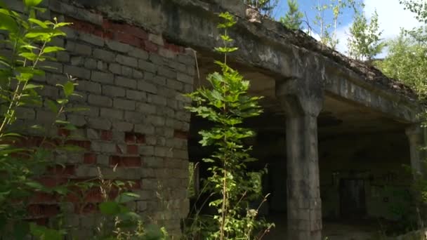 paredes de ladrillo dañado con árboles creciendo en
 - Metraje, vídeo