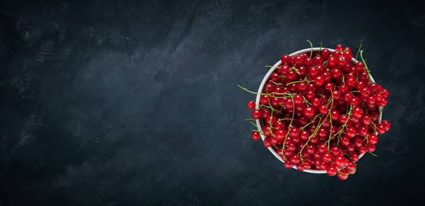 Panoramic template with Red currant berries for design - Valokuva, kuva