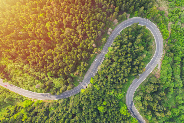 Luchtfoto van een bosweg die door een bos van dennenbomen loopt - Foto, afbeelding
