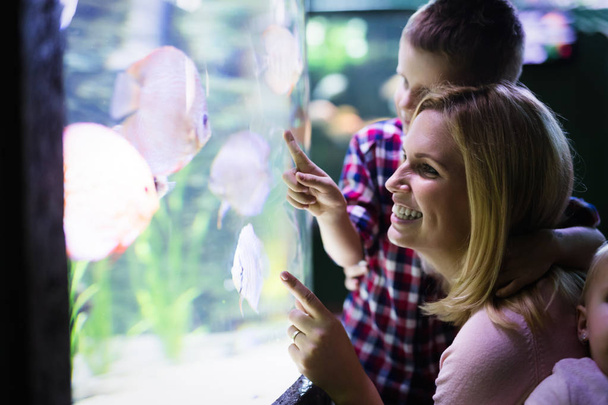 Fascinated mother and son watching sea life in oceanarium - Photo, image