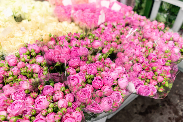 Armazém geladeira, flores por atacado para lojas de flores. Rosas cor-de-rosa em um recipiente plástico ou balde. Loja online. Loja floral e conceito de entrega
. - Foto, Imagem