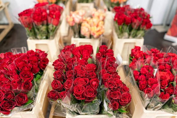 Armazém geladeira, flores por atacado para lojas de flores. Rosas vermelhas em um recipiente de plástico ou balde. Loja online. Loja floral e conceito de entrega
. - Foto, Imagem