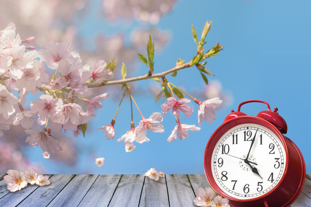 Uhr und Frühlingskirschblüten auf Holztisch - Tageslicht - Foto, Bild