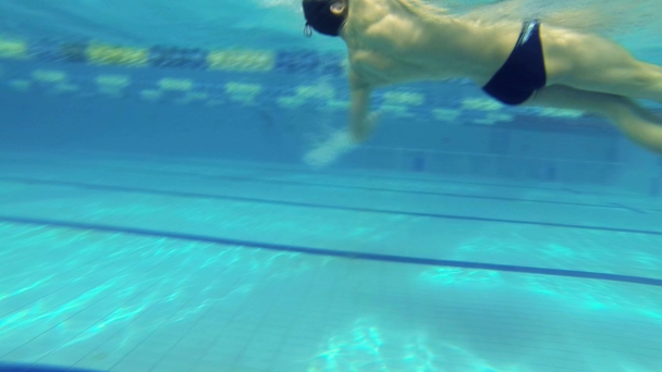 όμορφη υποβρύχια προβολή της κολύμβησης backstorke στυλ - Πλάνα, βίντεο