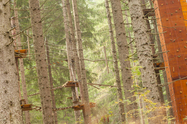 Arrampicata su un albero lungo un percorso attrezzato all'interno di un bosco italiano nelle Dolomiti
. - Foto, immagini