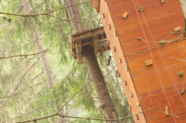 ドロミテ、イタリアのnイタリアの森の中に長い装備ルートを登る木. - 写真・画像