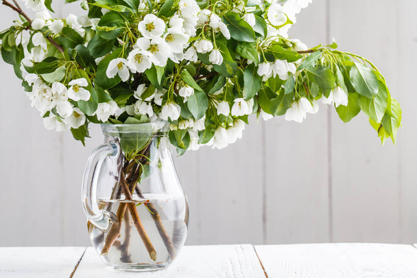 Branch with White Spring Blossoms in Glass Vase - Foto, Bild
