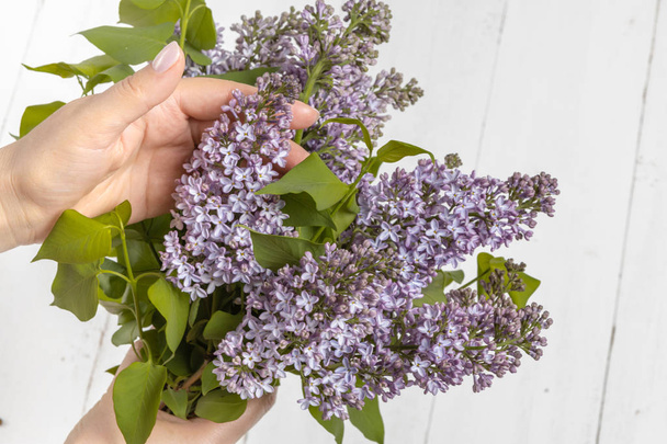 spring lilac bouquet in the woman hands - Фото, изображение
