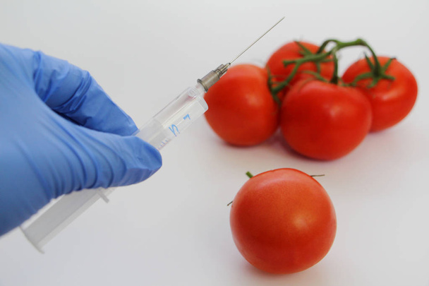 Syringe and tomatoes. Genetically modified nutritional concept. - Fotó, kép