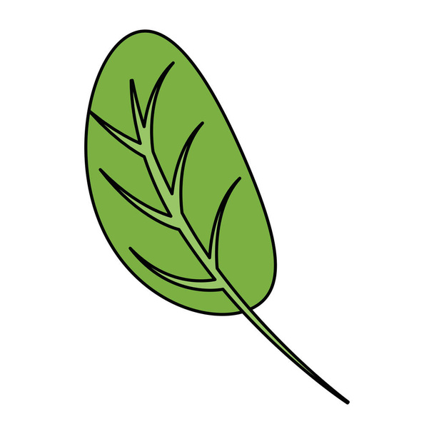 kitchen leafs ingredients healthy food - Wektor, obraz