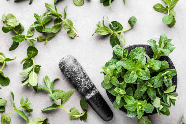 Green peppermint. Fresh mint. Organic leaves of mint, top view in mortar. - Zdjęcie, obraz