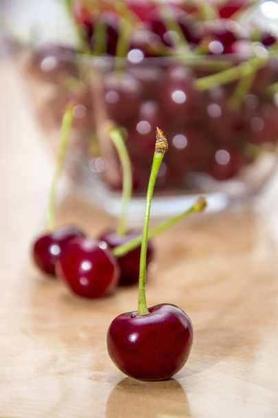 Cherry - Photo, Image