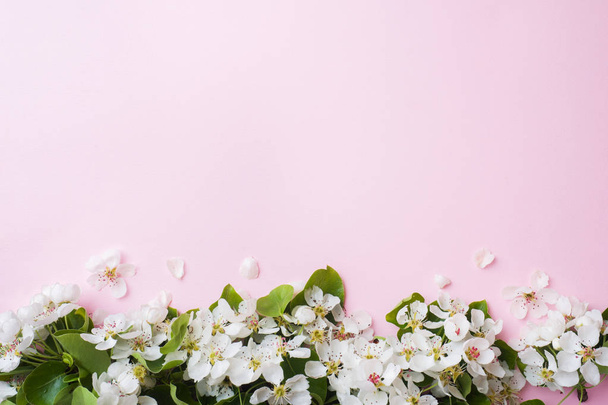 Spring flowering branch on pink background. Apple blossoms Copy space - Фото, изображение