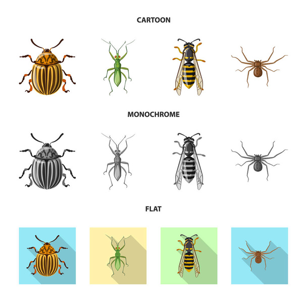 Ilustracja wektorowa owadów i mucha logo. Zbiór owadów i elementu symbol giełdowy dla sieci web. - Wektor, obraz