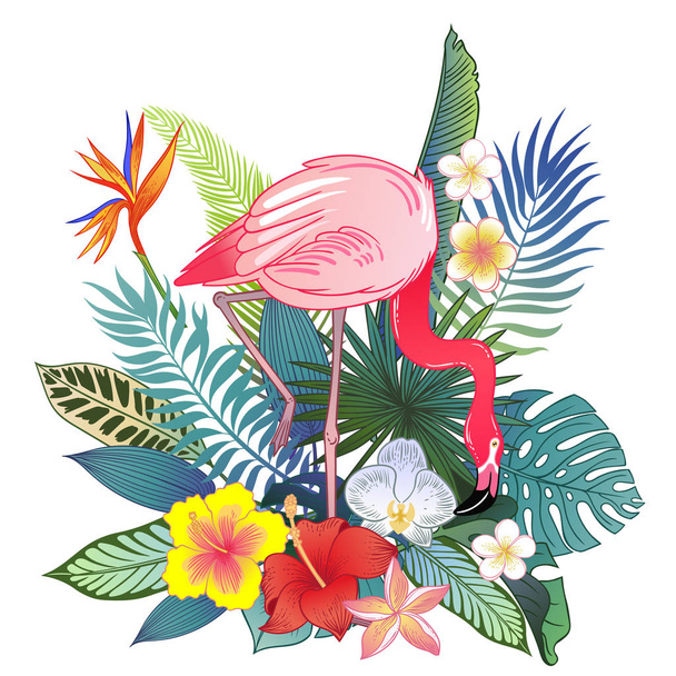 Nádherná tropická exotická papouška. Vektorová ilustrace. - Vektor, obrázek