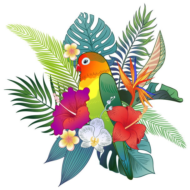 Прекрасная тропическая экзотическая птица попугая. Векторная иллюстрация
. - Вектор,изображение