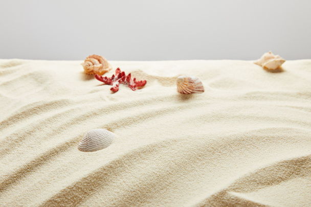 selective focus of seashells and starfish in sand on grey background - Фото, зображення