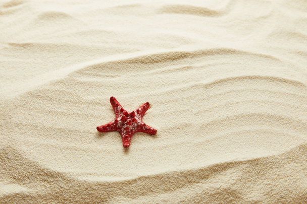 textured wavy golden sand background with copy space and red starfish - Φωτογραφία, εικόνα