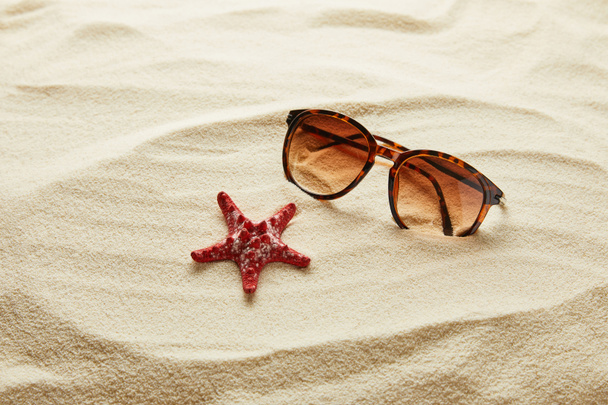 brown stylish sunglasses on sand with red starfish - Foto, Imagen