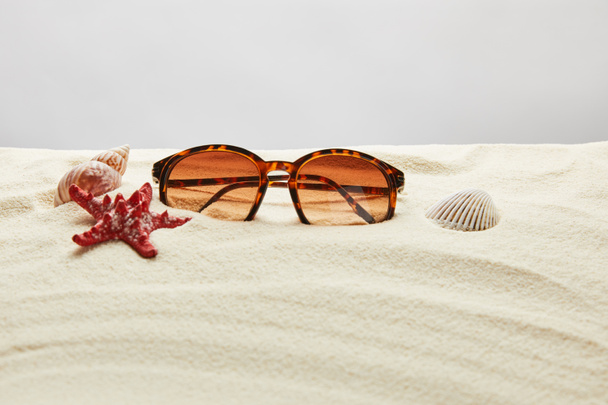 brown stylish sunglasses on sand with red starfish and seashells on grey background - Foto, Bild