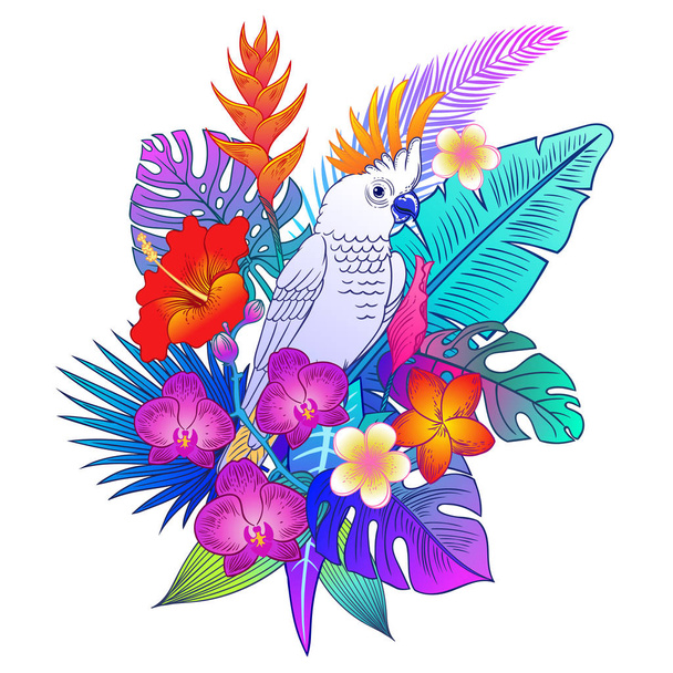 Beautiful tropical exotic parrot bird. Vector illustration. - Vetor, Imagem