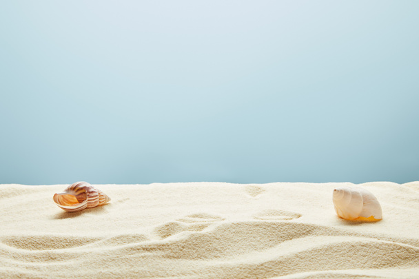 wavy textured golden sand with seashells on blue background - Photo, Image