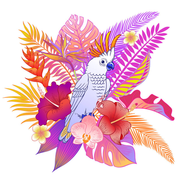 Beautiful tropical exotic parrot bird. Vector illustration. - Vetor, Imagem