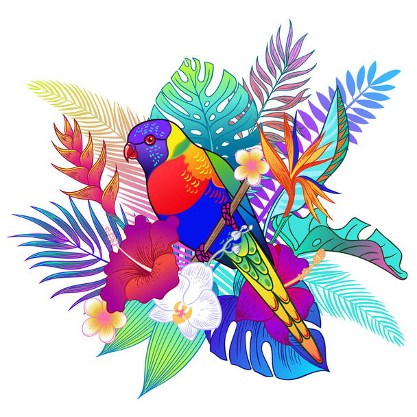 Nádherná tropická exotická papouška. Vektorová ilustrace. - Vektor, obrázek