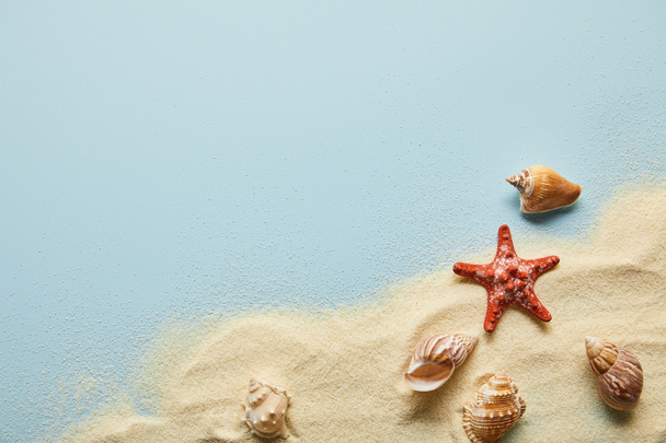 top view of textured wavy golden sand with seashells and starfish on blue background with copy space - Photo, Image