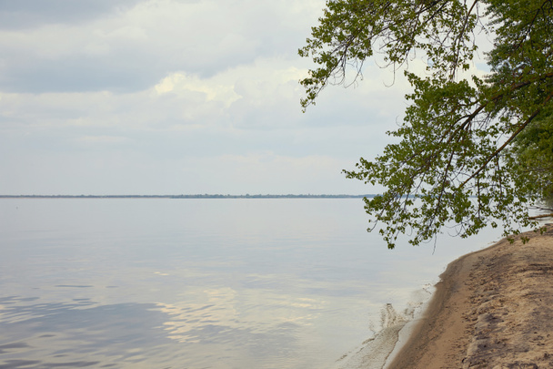 Coast of river with green tree on sandy beach - Zdjęcie, obraz