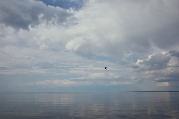 Sininen taivas valkoisilla pilvillä ja lentävä lintu heijastuu jokiveteen
 - Valokuva, kuva