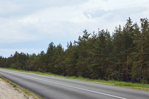 сосновый лес рядом с шоссе на белом фоне неба
  - Фото, изображение
