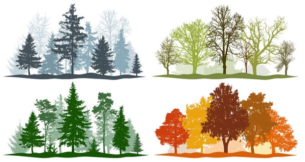 Orman ağaçları kış ilkbahar yaz sonbahar. 4 mevsim vektör  - Vektör, Görsel