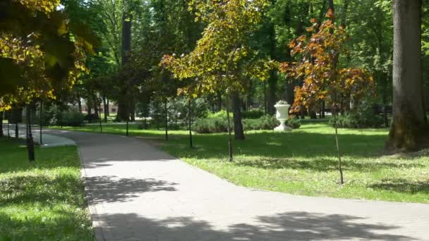 GOMEL, BELARUS - 15 de maio de 2019: Palácio e parque conjunto do Rumyantsevs Paskevichi. Parque verde acolhedor
. - Filmagem, Vídeo