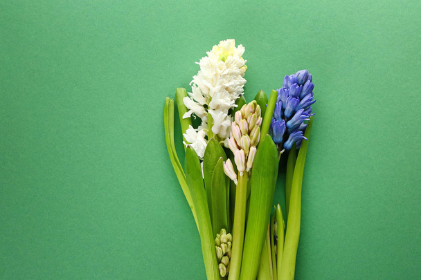 Kaunis hyasintti kukkia värillinen tausta - Valokuva, kuva
