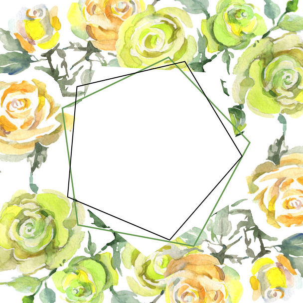 Rosenstrauß blühende botanische Blumen. Aquarell Hintergrundillustration Set. Rahmen Rand Ornament Quadrat. - Foto, Bild