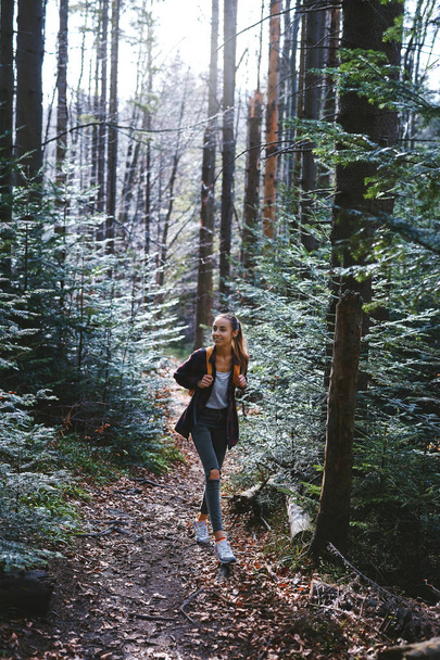woman hiker walking on the trail in pine woods - Foto, Imagen
