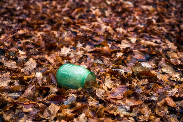 pusty drty słoik ze szkła spadł do suchych liści w lesie, zanie - Zdjęcie, obraz