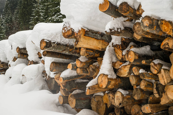Large pile or stock of firewood for heating furnace covered with - Φωτογραφία, εικόνα