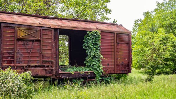 Oude spoorwegwagon verlaten door vegetatie gevangen - Foto, afbeelding
