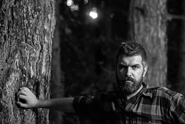 Image of young bearded man in forest. Looking at camera - Foto, imagen