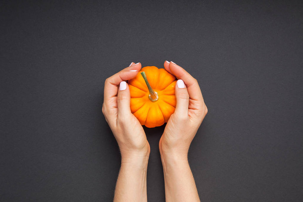 Small orange pumpkin woman hands black background - Fotografie, Obrázek