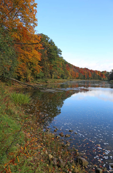 El Gran Río con los colores del otoño reflejándose en él. Disparo en Kitchener, Ontario, Canadá
. - Foto, imagen