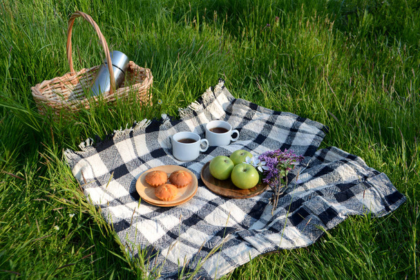 Picnic in the Park on the green grass with fruit, muffins, tea. Picnic basket and blanket. Summer holiday - 写真・画像